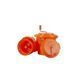 Центрифуга для сушки салата JW-SP9.5 Perfect 9.5л (BP)031699 фото 2
