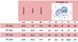 Профессиональный слайсер FY 250 RT Celme (тефлон) (AGCV)034642 фото 2