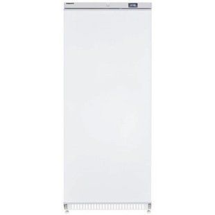 Холодильна шафа FTD600 Frosty (BO)034343 фото