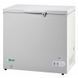 Ларь морозильный G-BD350S Forcar (BS)035880 фото 1