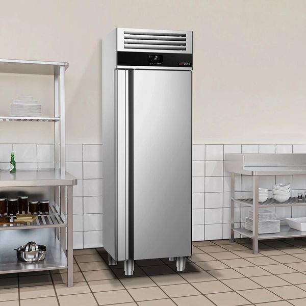Морозильный шкаф TKSF664 GGM Gastro 400л (BI)031870 фото