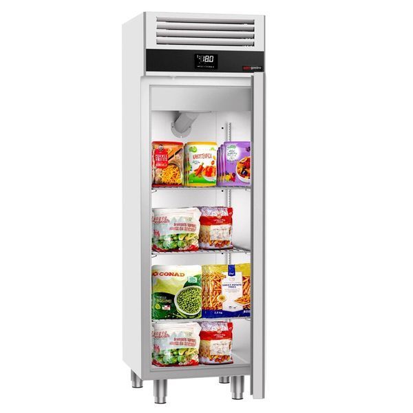 Морозильный шкаф TKSF664 GGM Gastro 400л (BI)031870 фото
