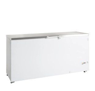 Скриня морозильна FR605S Tefcold (DF)056414 фото
