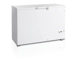 Скриня морозильна FR405 SL Tefcold (DFBU)033399 фото