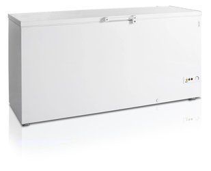 Скриня морозильна FR605 SL Tefcold (DFBU)033400 фото