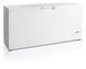 Ларь морозильный FR605 SL Tefcold (DFBU)033400 фото 1